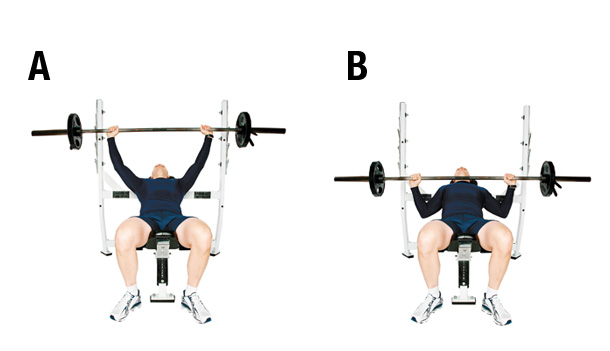 exercice musculation poitrine
