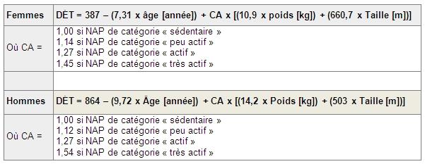 Depense energetique totale