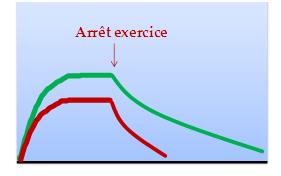 Graphique exercice