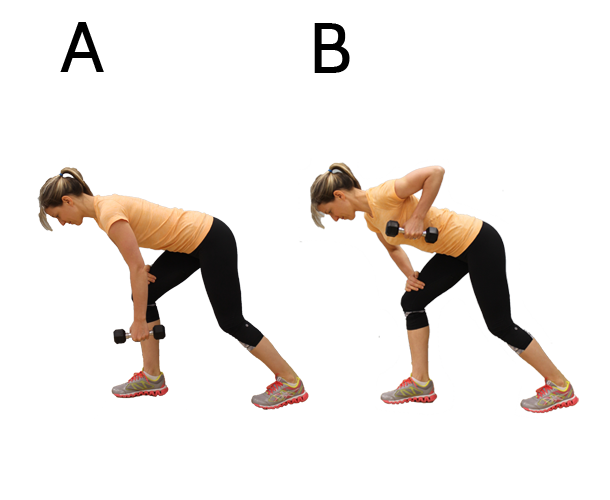 Latissimus Dorsi Workouts Without Weights Sport Fatare 5 Negative Only Chin Up