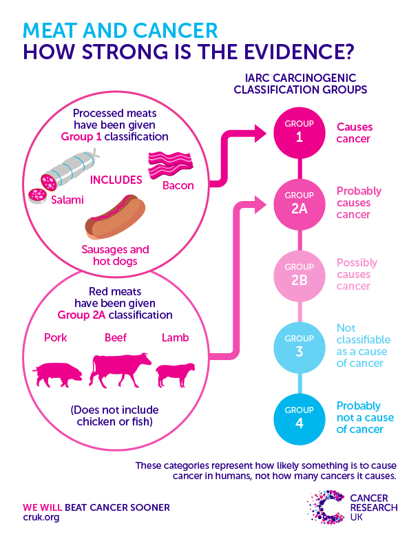 IARC meat and cancer_ANG