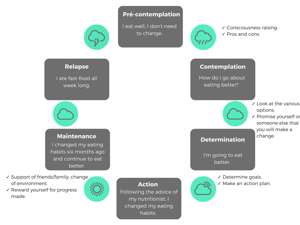 Infographie Alyssa EN