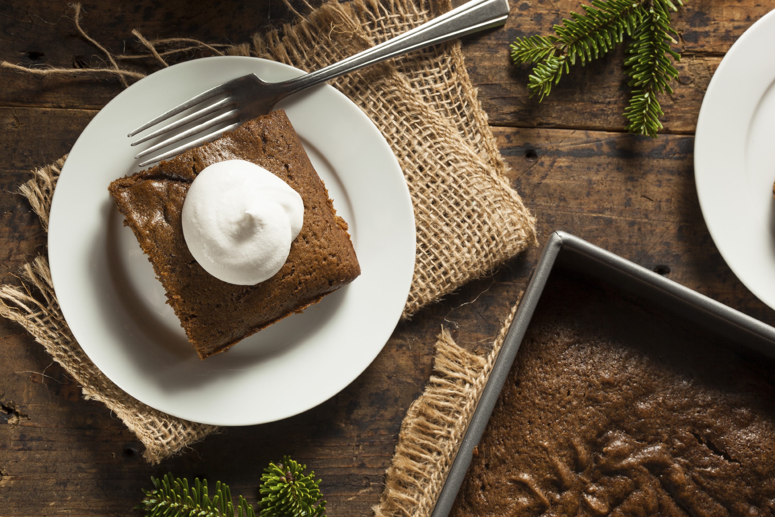 Homemade Brown Gingerbread Cake with Whipped Cream