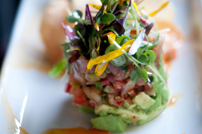 Thai Tuna Tartare Nautilus Plus Nautilus Plus Thai Tuna Tartare Nautilus Plus Nautilus Plus