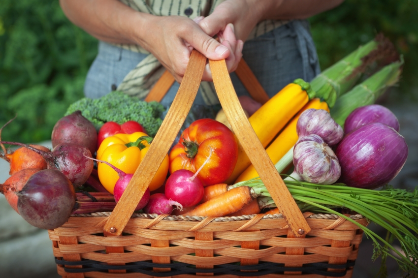 Organic food_iStock_000017358071Small