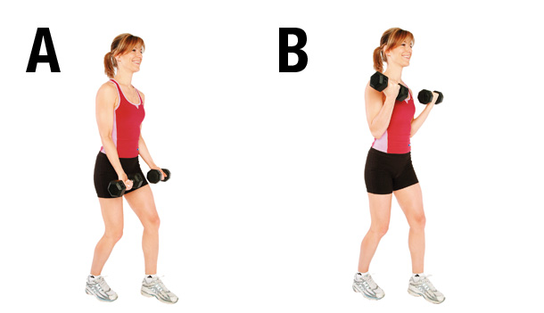 Exercice 5 Flexion des bras poids