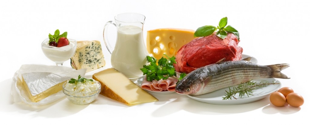 rapport proteine calorie