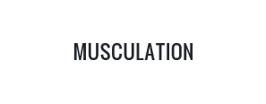 Musculation