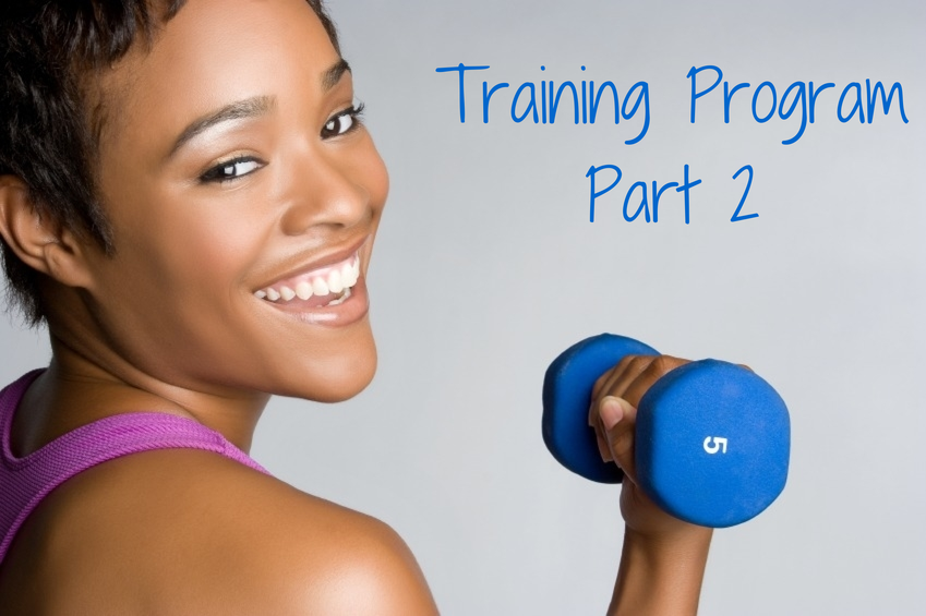 trainingprogram2