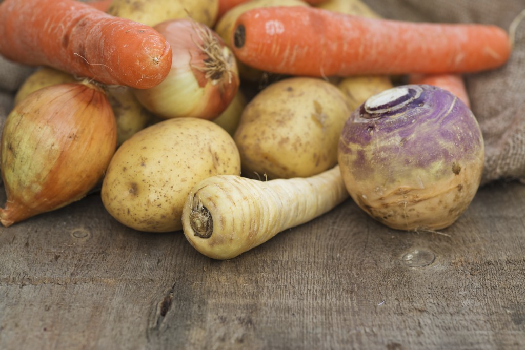 Winter seasonal vegetables collection including potatoes, parsni