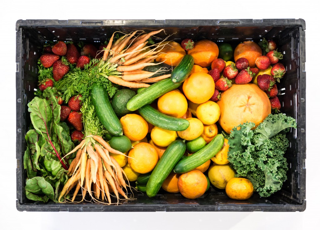stock snap_food waste