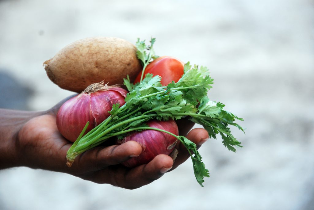 vegetable