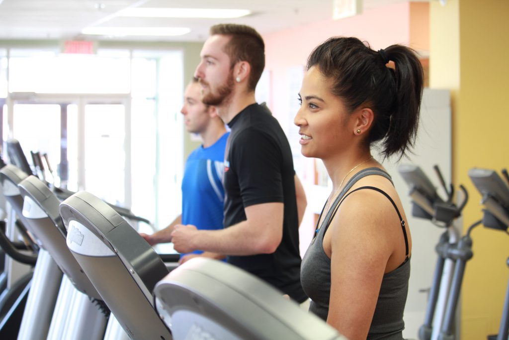 gym fitness plan