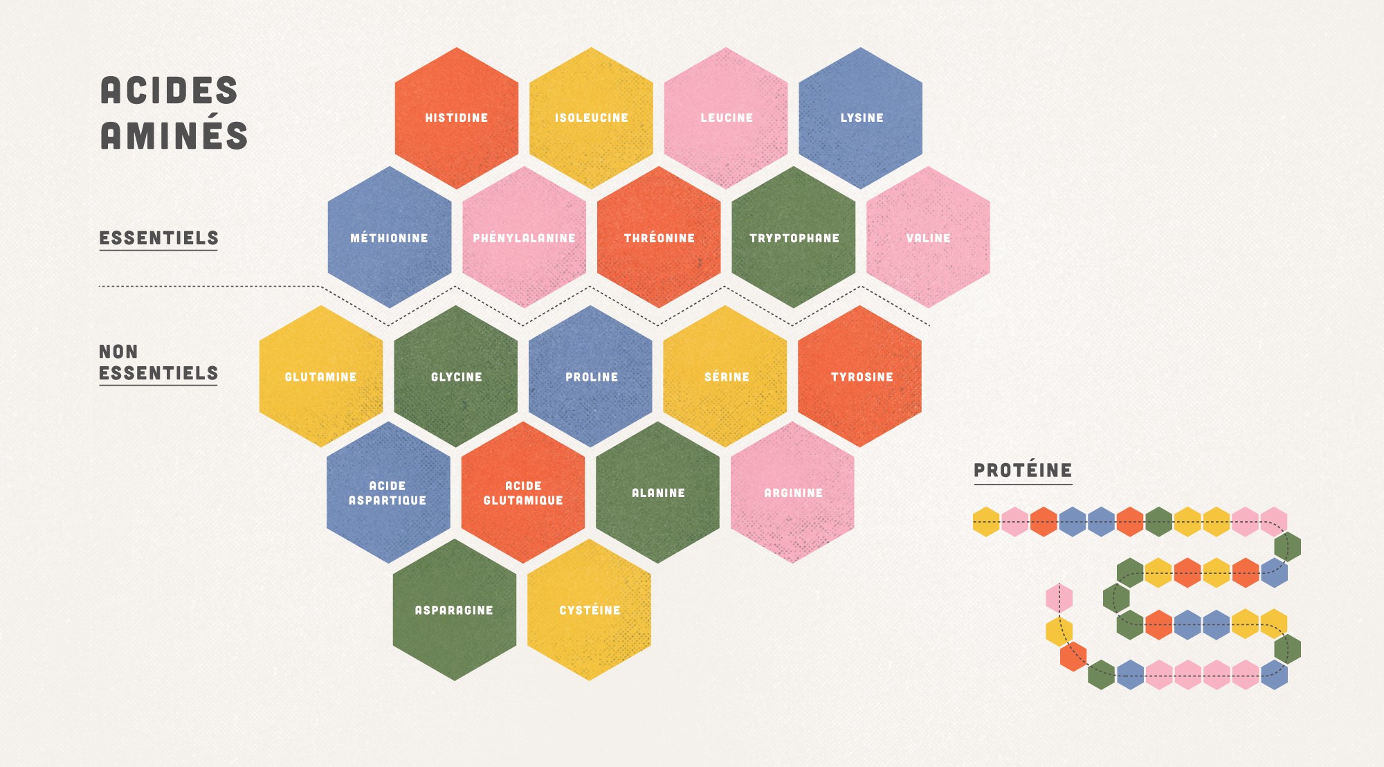 What about plant-based proteins? | Nautilus Plus