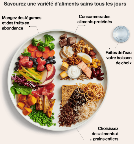 guide alimentaire canadien