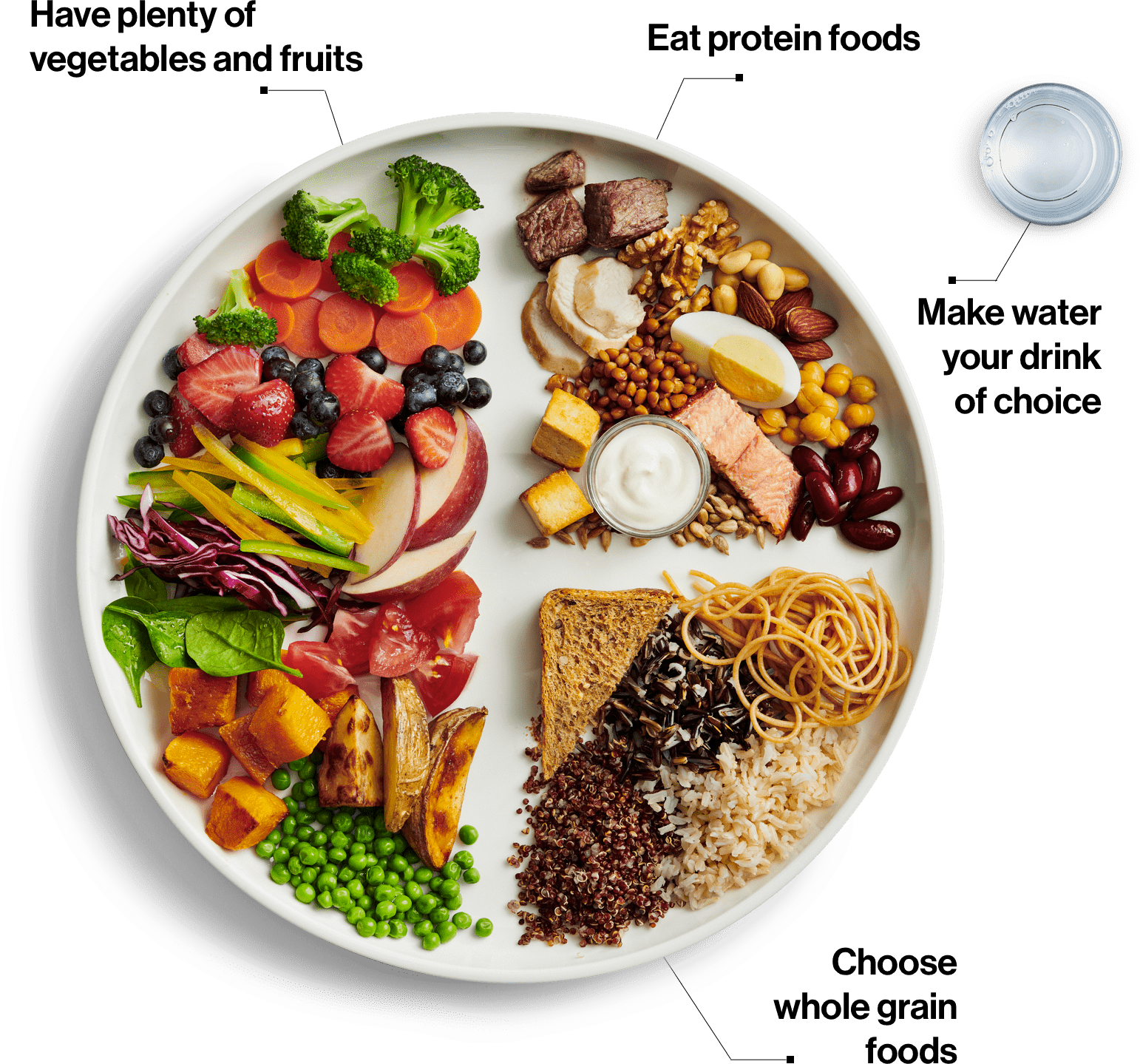 Food guide 2.0 – Proteins, calcium and portions | Nautilus Plus