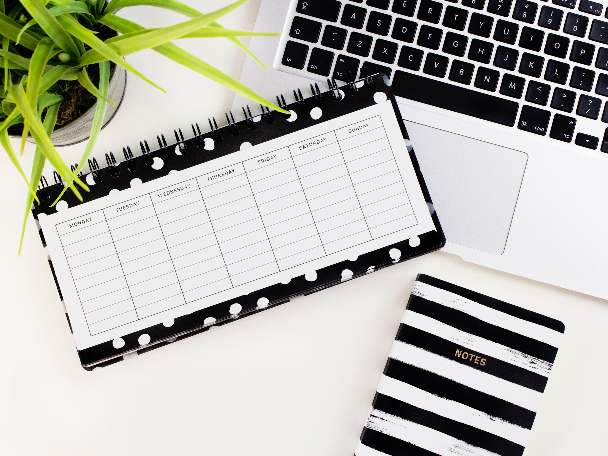 Organiser sa semaine avec le meal prep