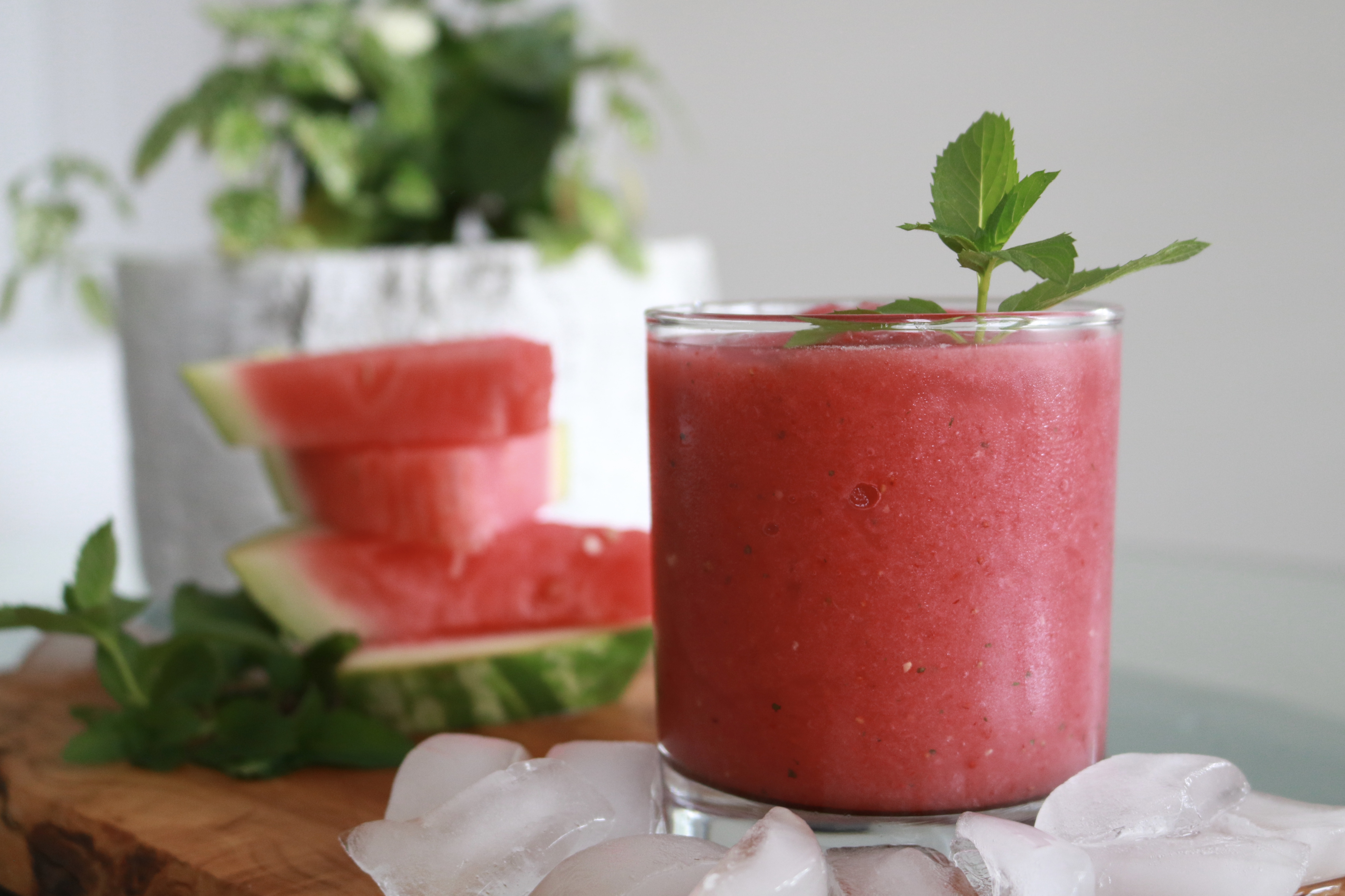 Barbotine au melon d’eau, fraise et menthe