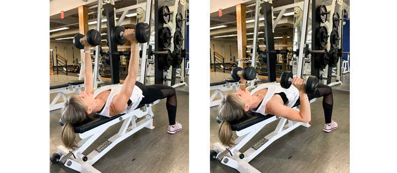 chest-press-upper-body