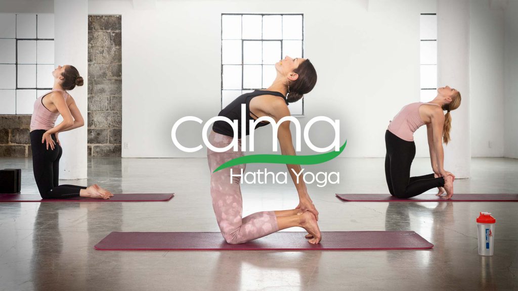 type of yoga - hatha yoga