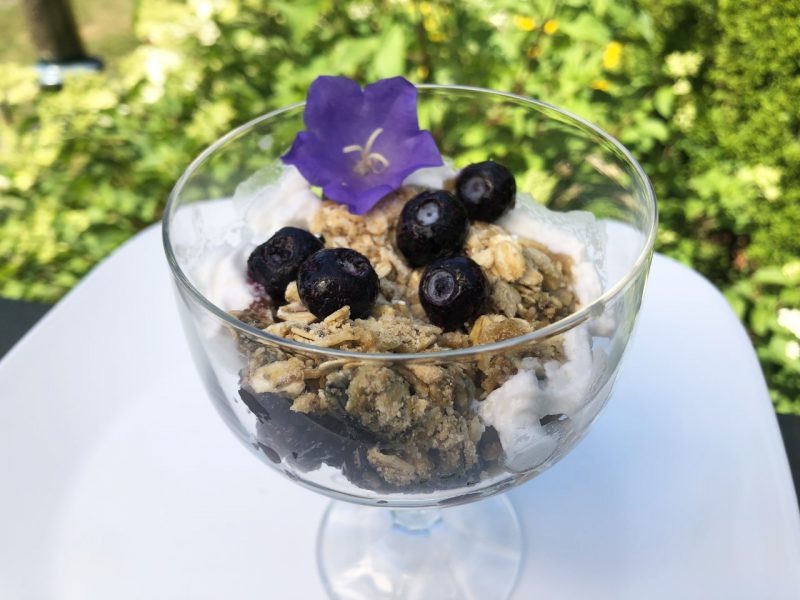 croustade-aux-bleuets-vegan-blueberry-crisp