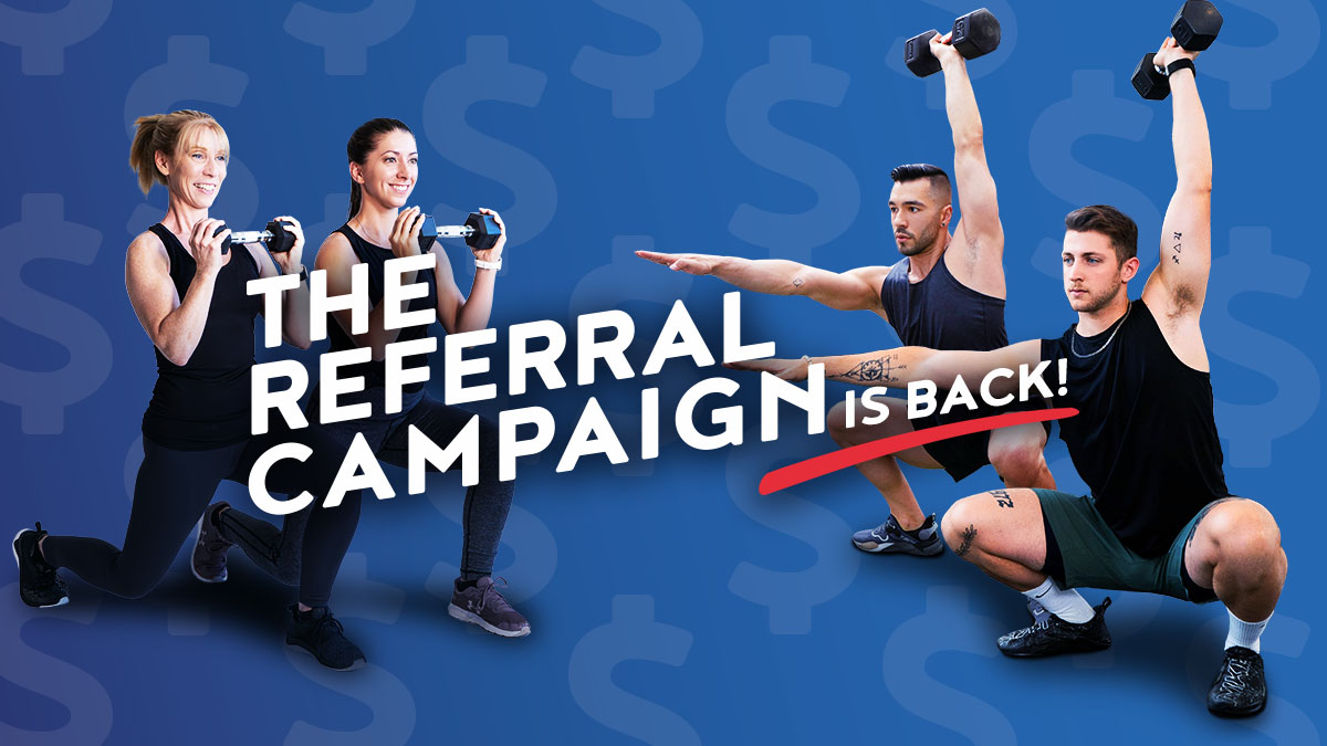 FAQS MORE PLUS REFERRAL MORE visual data 2