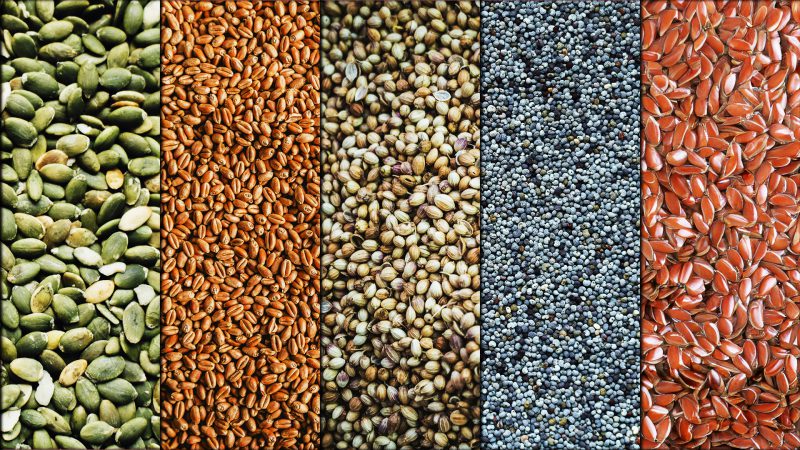 top-5-des-graines-nutritives-seeds