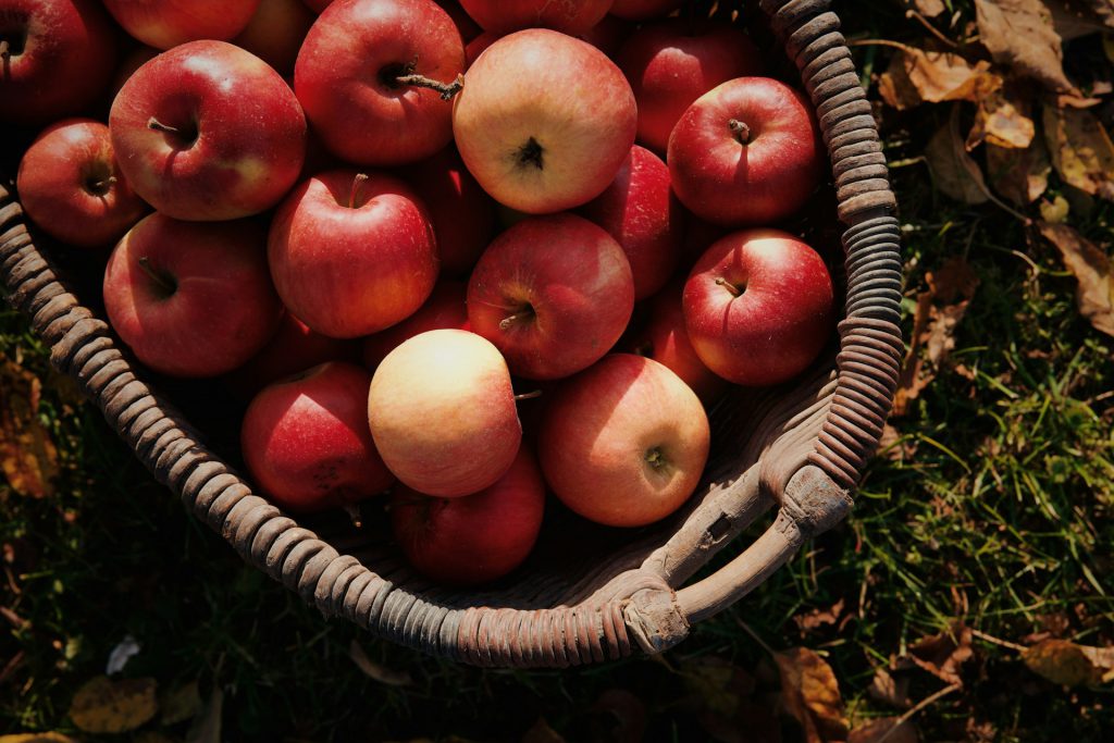 panier de pommes / apples basket